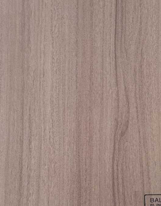 BL23-S49 บีแอล23-เอส49