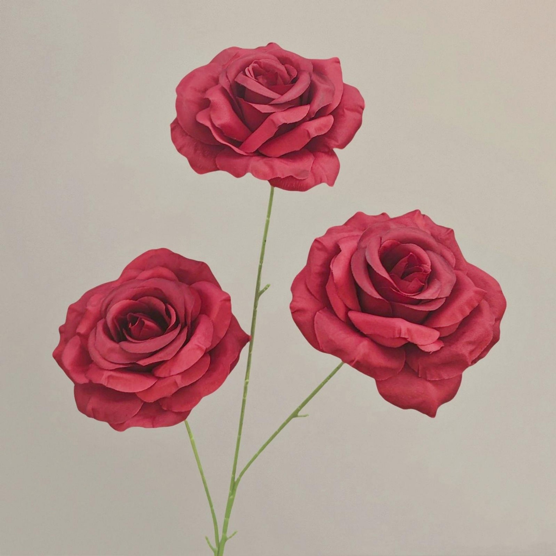 Diamant rose-rouge-66 cm