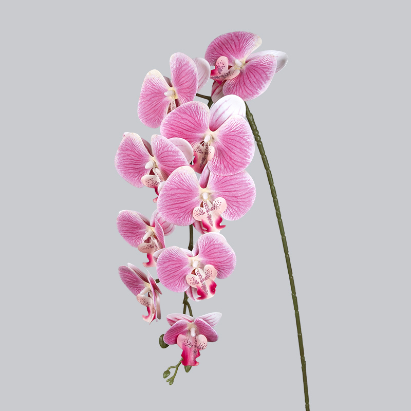 PU 9 Rose orchidée