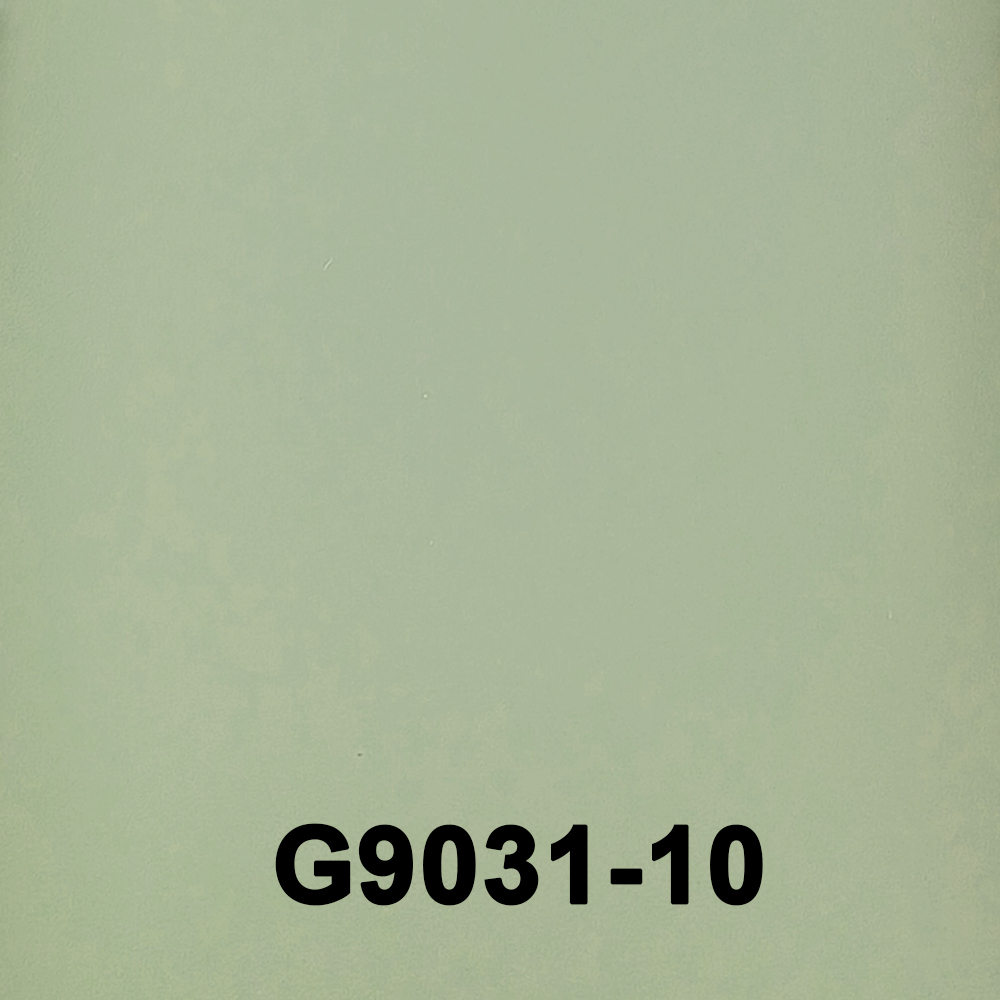 G9031-10