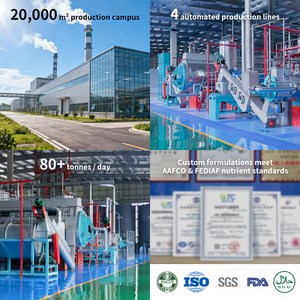 OEM Atacado Fábrica <span class=keywords><strong>Cat</strong></span> Dry <span class=keywords><strong>Food</strong></span> 300g 1kg 2.5kg 10kg 20kg Grain Free Frango Peixe Adulto Gatinho Seco <span class=keywords><strong>Cat</strong></span> <span class=keywords><strong>Food</strong></span> Pet <span class=keywords><strong>Food</strong></span> para Gato - Product Image 5