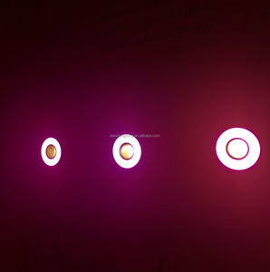 Benory DC 24V <strong>LED</strong> RGBW WW Loxone Tree Ceiling Spot <strong>PWM</strong> KNX Dali <strong>DMX</strong> Zigbee RGB-CCT Smart Automatic Lighting - Product Image 6
