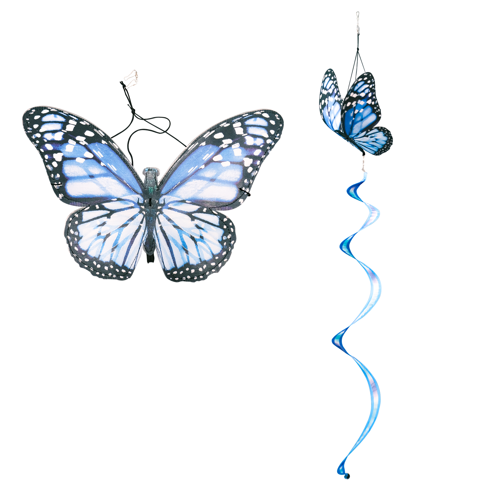 Blue butterfly