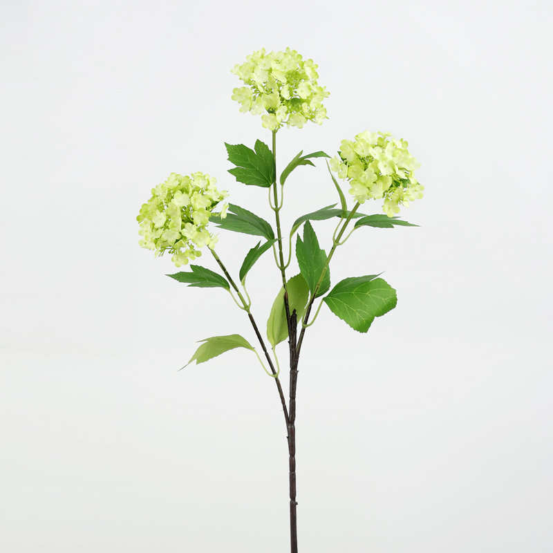 สีเขียว