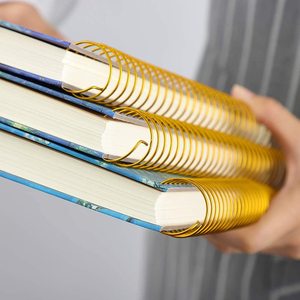 拉本名画精装耐用封面强定制金线螺旋笔记本/日记本