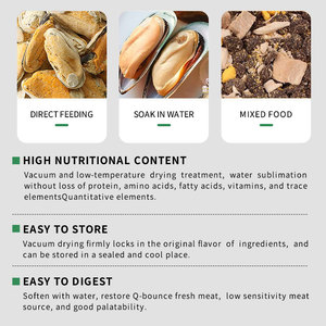 New Zealand Màu Xanh Lá Cây Sò Đóng Băng Khô Pet Xử Lý Chất Lượng Cao Tự Nhiên Màu Xanh Lá Cây Nhà Máy Tùy Chỉnh Lipped Trai Đồ Ăn Nhẹ Cho Mèo Chó - Product Image 5