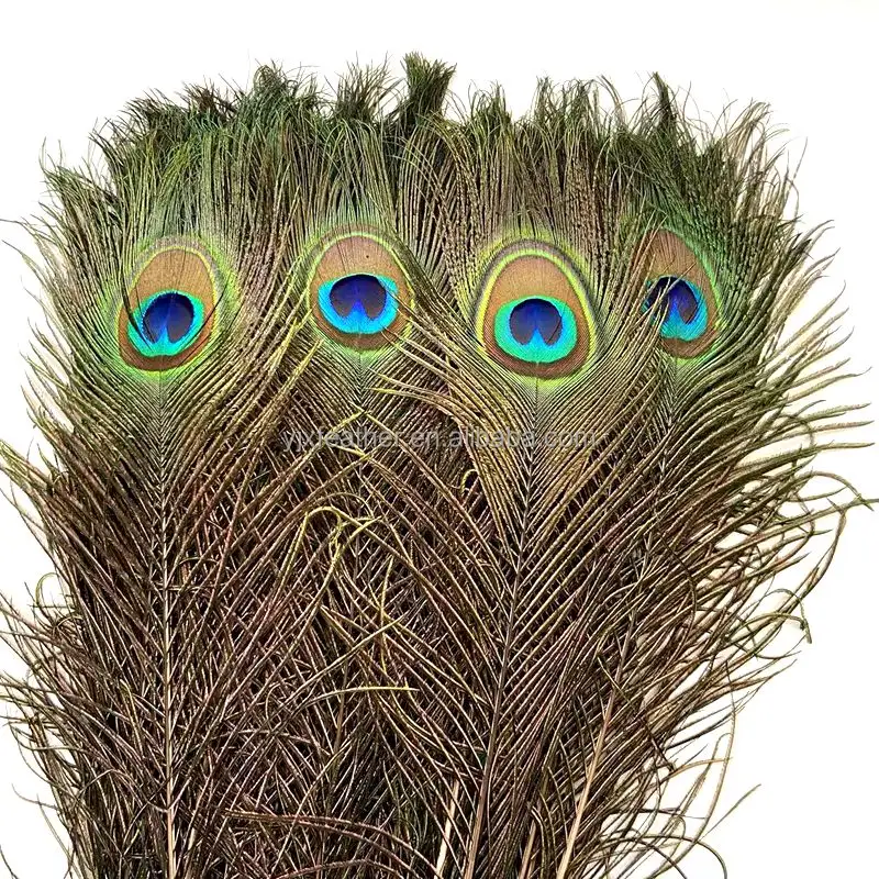 Atacado olhos de pavão de cor natural olhos decorativos pena de pavão para decoração