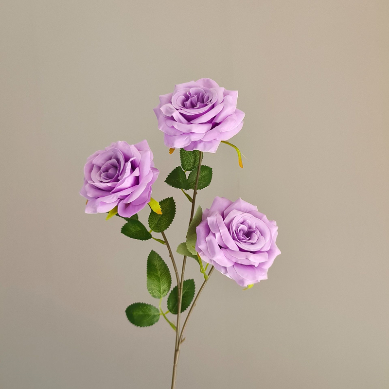 Pourpre