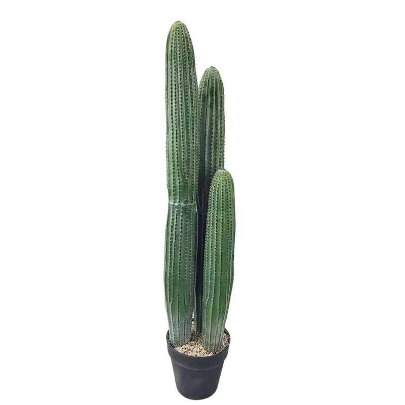 75cm