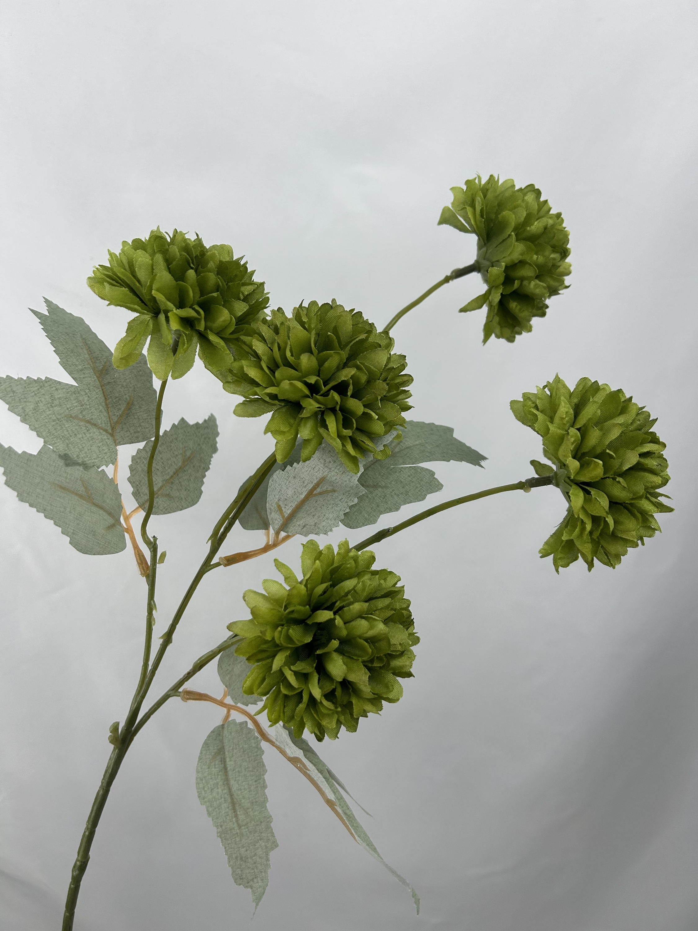 Vert