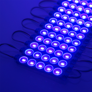 In magazzino 5-Chip Full Color blu moduli LED 24V DC 1.2W modulo di iniezione LED - Product Image 2