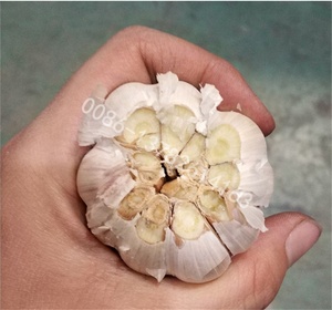 Manual <strong>Dry</strong> Garlic Top Tail <strong>Cutter</strong>/Small Garlic Root Flat Cutting Machine/Farm Use Mini Garlic Root Remover Machine - Product Image 6