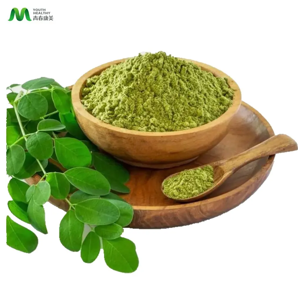 Gioventù Vendita Calda Puro Estratto di Foglie di Moringa Oleifera Naturale In Polvere