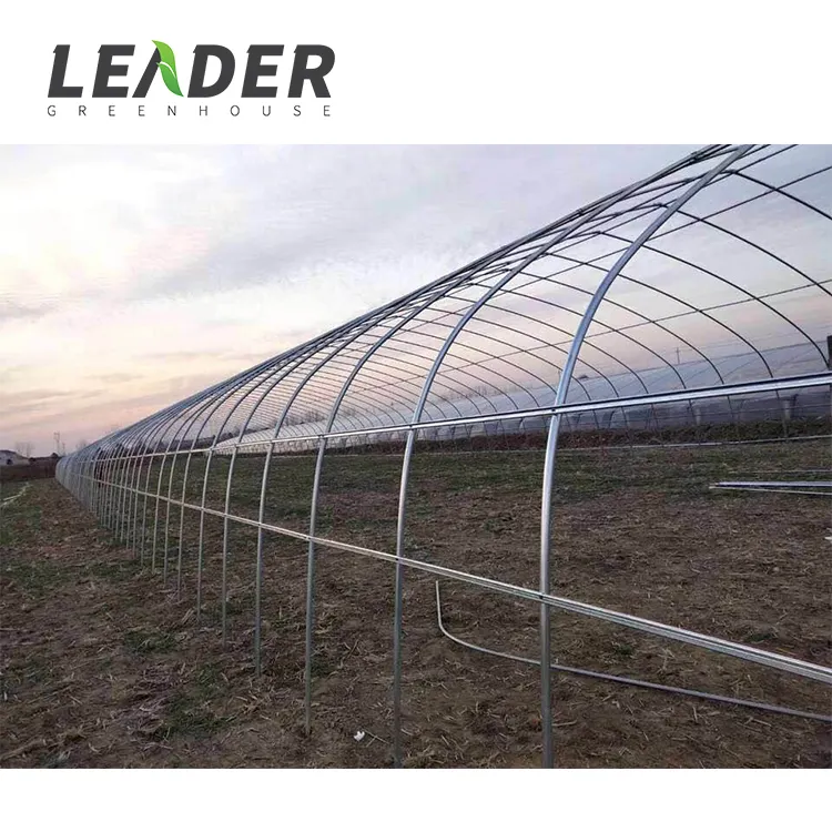 Low Cost High Tunnel Agriculture 20x100 Farming Greenhouse For Sale