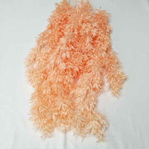 Light Orange
