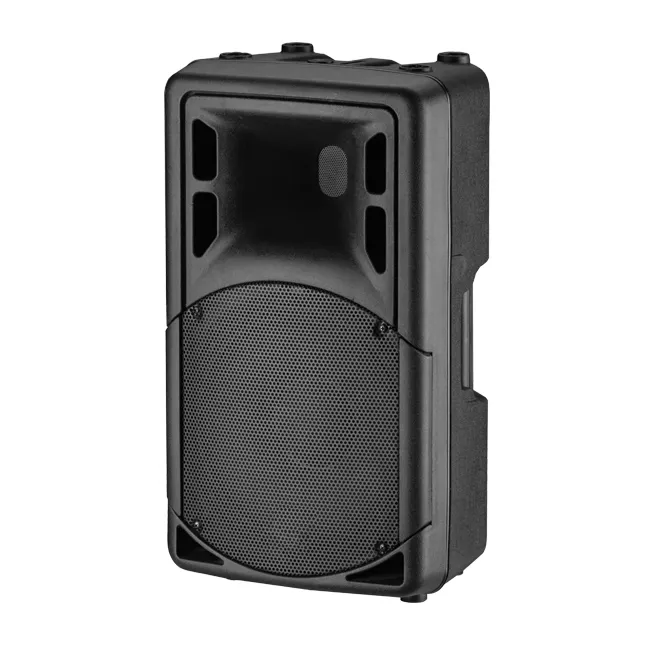 R-C/F ABS cabinet speaker empty 15 inch church speaker professional audio PA address system