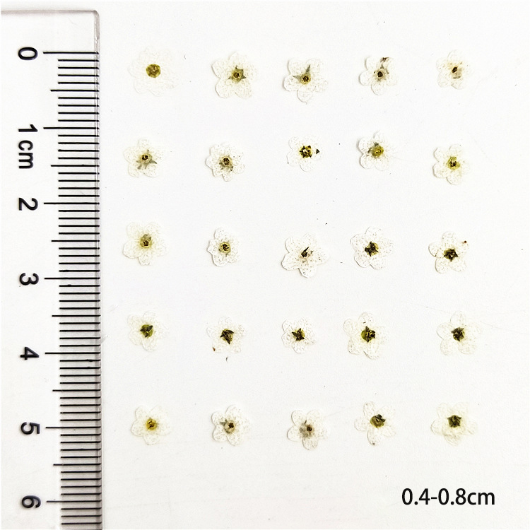 0.4-0.8cm