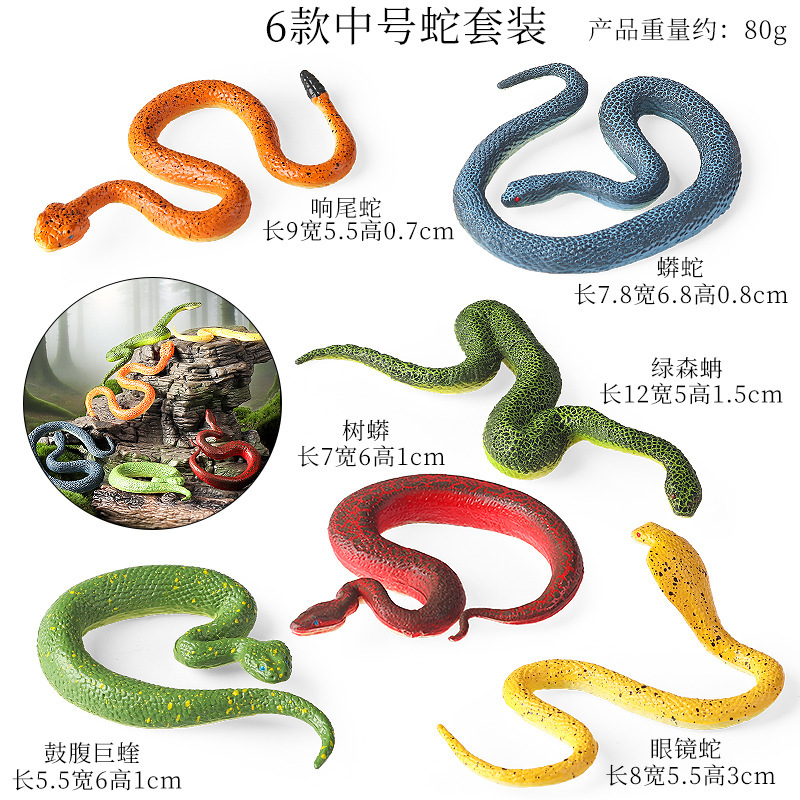 Set da 6 pezzi di serpenti ZZ colorati di medie dimensioni