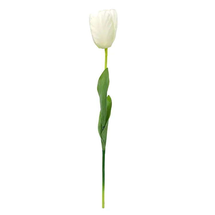 Peluncuran baru grosir kualitas tinggi properti pengambilan foto gaya INS pelembap rasa Tulip warna-warni