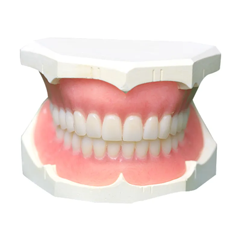 Equipo Dental de alta calidad, consumibles dentales artificiales, dentadura completa hecha a medida, dentadura acrílica, venta al por mayor