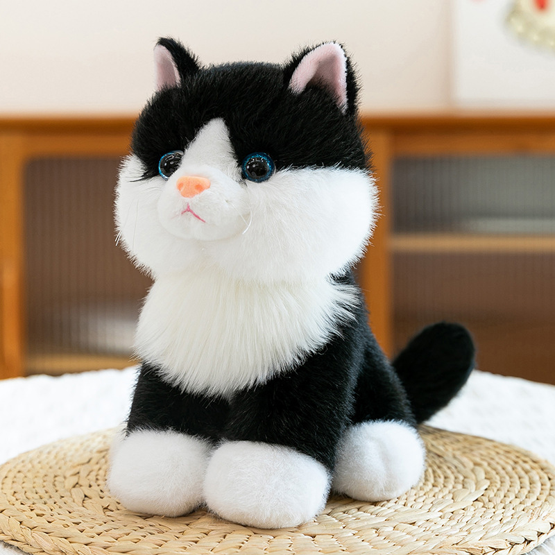 Black + cat pronunciation device