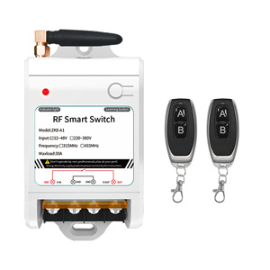 Telecomando Wireless a tensione larga 12V-48V 1 canale ON/OFF del ricevitore di casa intelligente codice di rotolamento per il pompaggio-sistemi remoti - Product Image 1