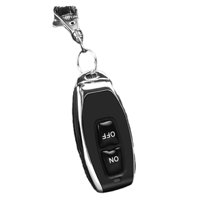 12V/24V DCSingle Wireless Remote <strong>Control</strong> Switch Door Motor Smart Home LED Lighting <strong>Control</strong> <strong>System</strong> with Delay <strong>Function</strong>