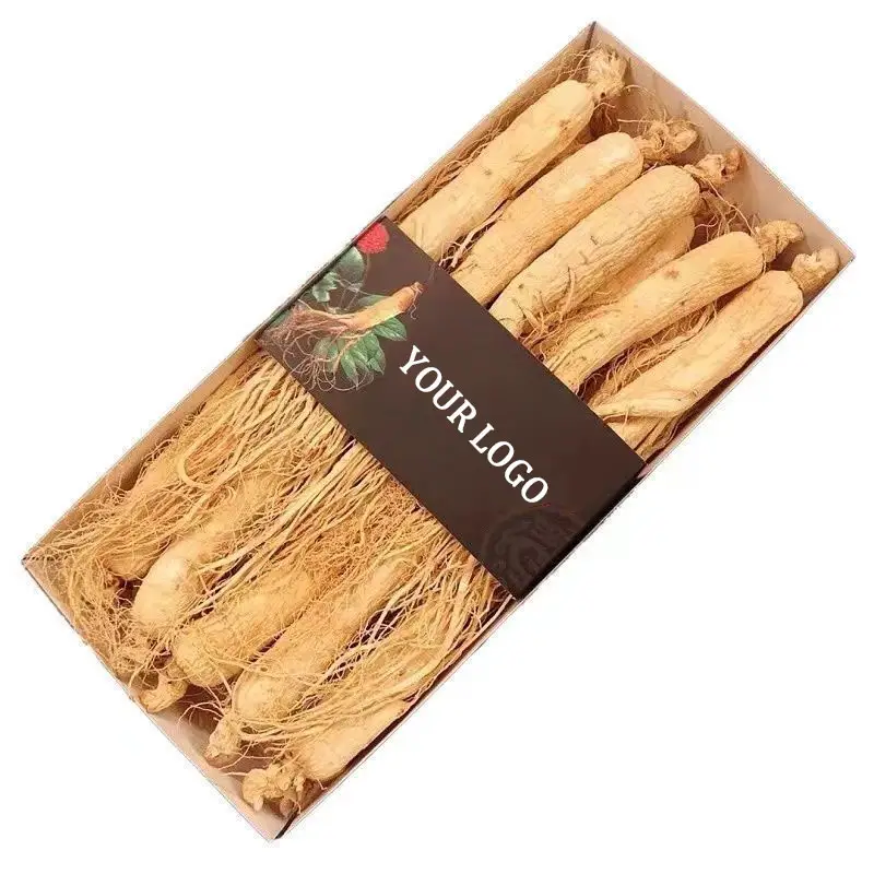 Qingchun completamente rifornito all'ingrosso alla rinfusa organica estratto di radice di ginseng secco ginseng fresco per le vendite calde