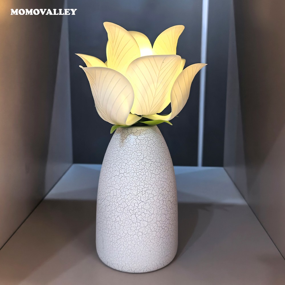 Blanc élégant (Rose dynamique)