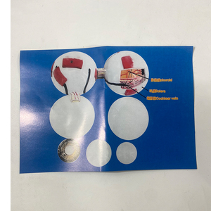 人間の骨格の解剖学的モデル、耳の鼻、6倍に拡大された目のモデル教育リソース - Product Image 6