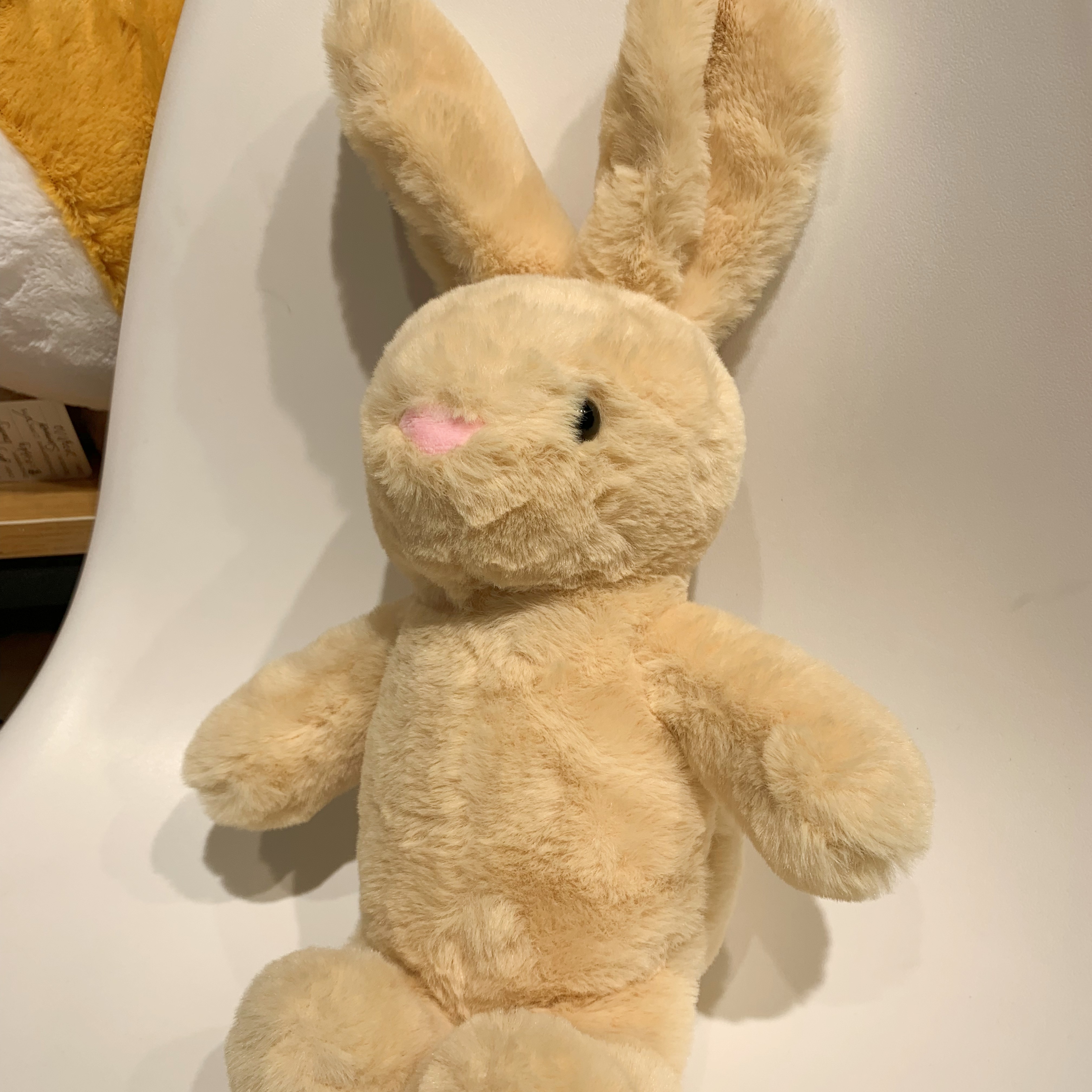 seulement un lapin brun