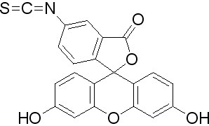 フルオレセインイソチオシアネート異性体I、CAS:3326-32-7、90% 、生化学的試薬 - Product Image 2