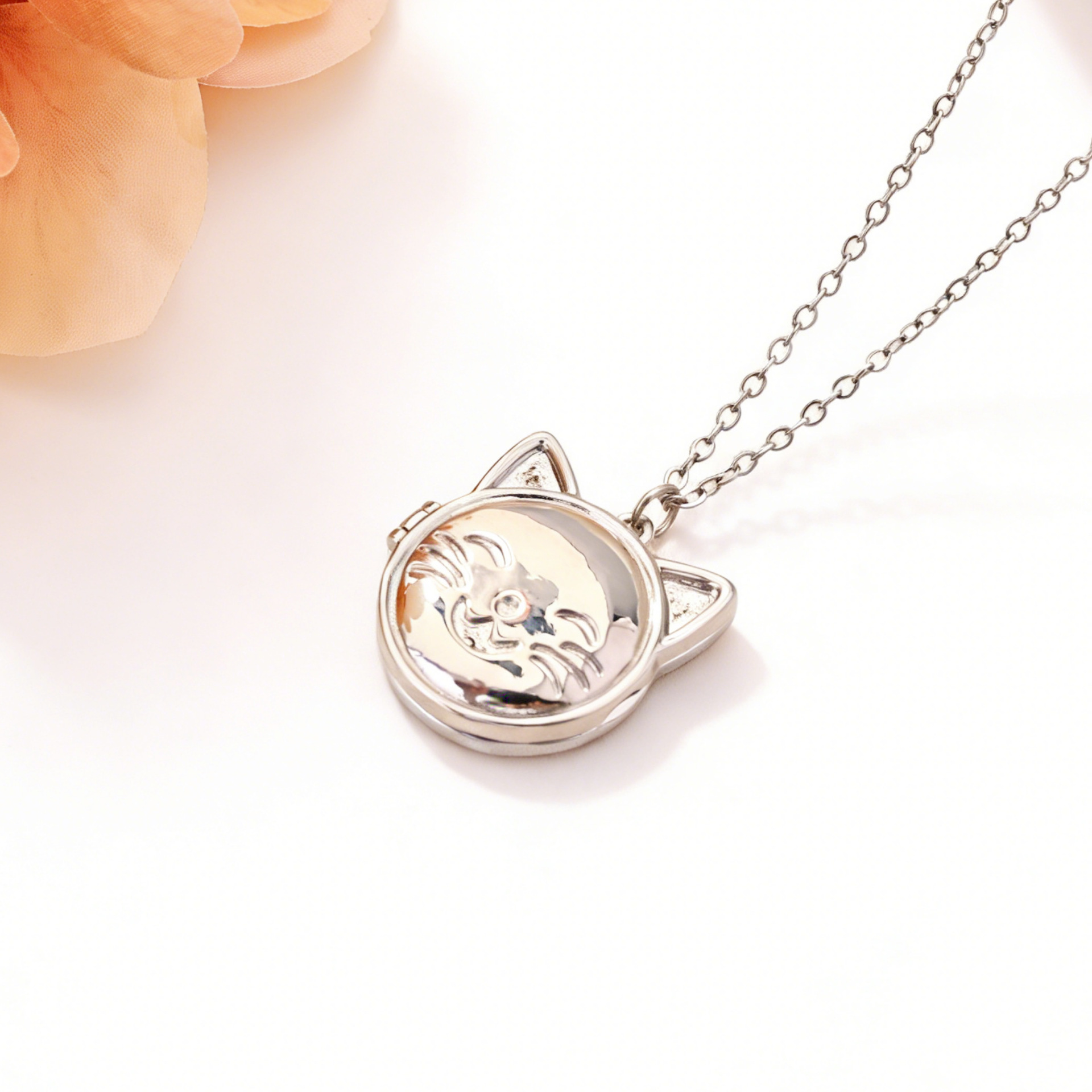 Acciaio Nessuna Foto