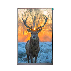 High Resolution 10.1 Inch Touch Screen TFT <strong>LCD</strong> <strong>Display</strong> OEM Screen Panel Competitive Price IPS Type LED LVDS TFT <strong>LCD</strong> Module - Product Image 1