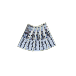 Win 10 IOT ENT LTSC 2021 Activación en línea de por vida Win 10 IOT Enterprise 2021 2019 LTSC Value / Highend / Entry Key Sticker - Product Image 2
