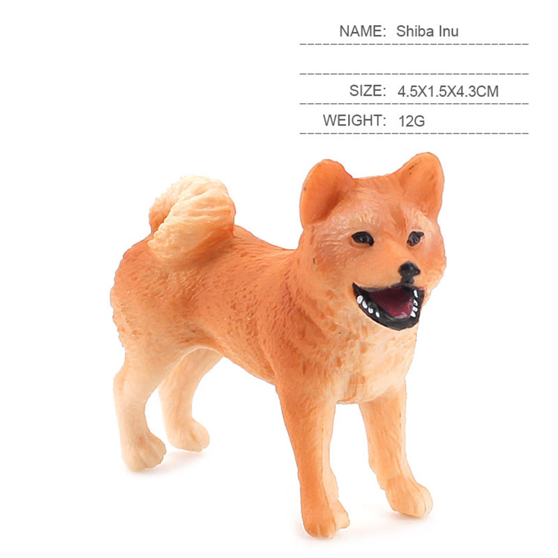 Shiba inu