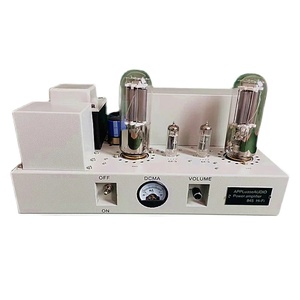 Western Master 6 f3 (6 bm8) + 845 amplificatore a valvole singolo combinato con amplificatore di potenza 20W + 20W