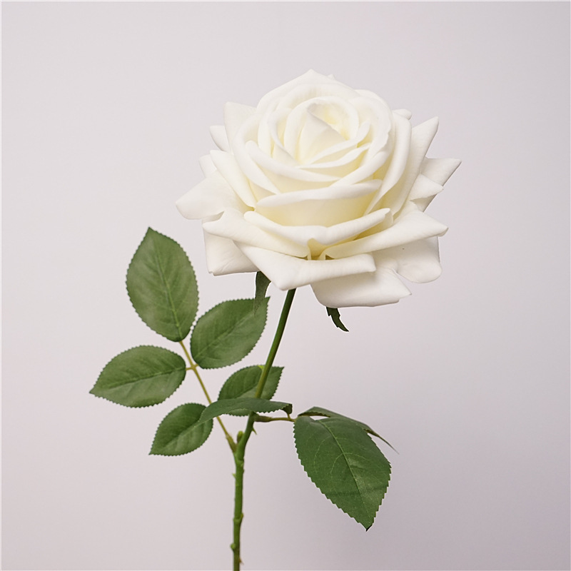 Blanc crème