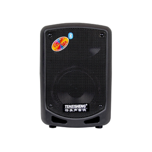 TWS Boss 6,5-Zoll-Trolley-Lautsprecher tf <span class=keywords><strong>SD</strong></span>-Karte unterstützt leistungs starke wiederauf ladbare USB-Woofer-Box tragbare Bluetooth-Lautsprecher