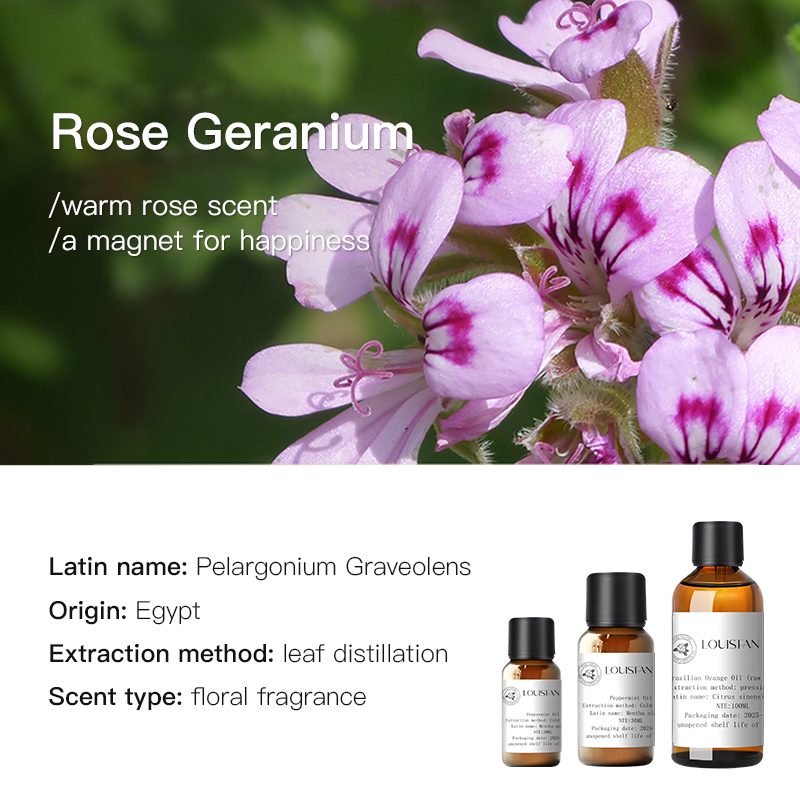 Géranium (Égypte) 10ml