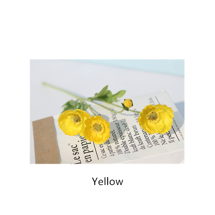 Giallo