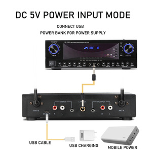DX-8B USB คอมพิวเตอร์ไมโครโฟนไมโครโฟนไร้สายหนึ่งสำหรับสองทีวีคอมพิวเตอร์ BT กับสมดุลครอบครัวบ้าน K เพลง