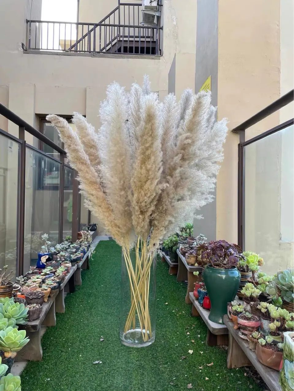 Factory sale big fluffy natural color dried pampas grass 150cm length artificial flowers for wedding decor gray pampas grass