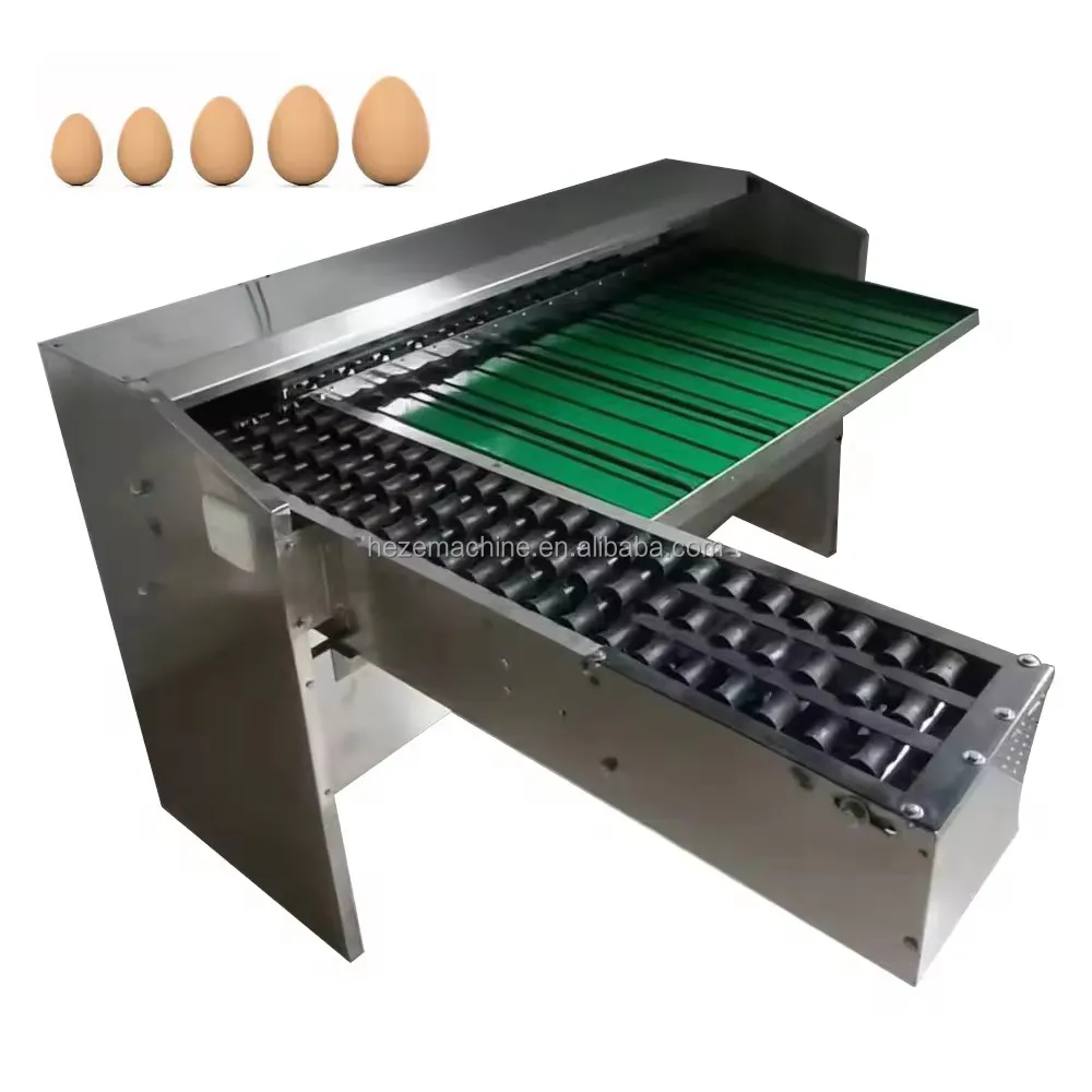 Máquina clasificadora de clasificación de huevos de tamaño de huevo comercial con elevador de huevos clasificador de huevos de pato/máquina clasificadora de peso/máquina clasificadora de huevos