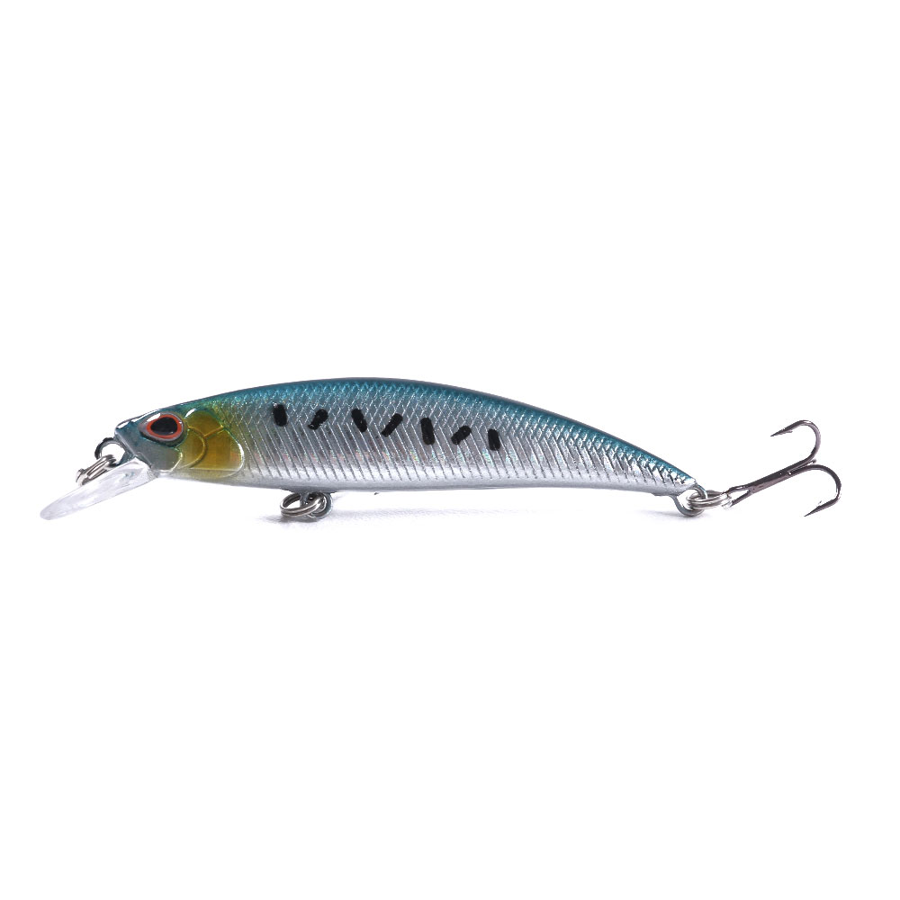 Minnow-013-6