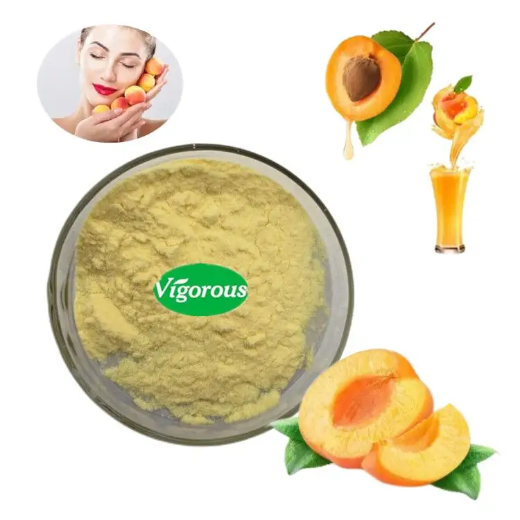 pure natural for beverage 10:1 Organic food grade Apricot Fruit Powder