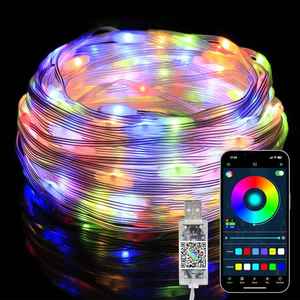 5M 10M LEDスマートアプリリモコンピクセルストリップライトUSB 5Vパーティーフェスティバルクリスマスツリープログラミングデコレーションストリングライト - Product Image 1