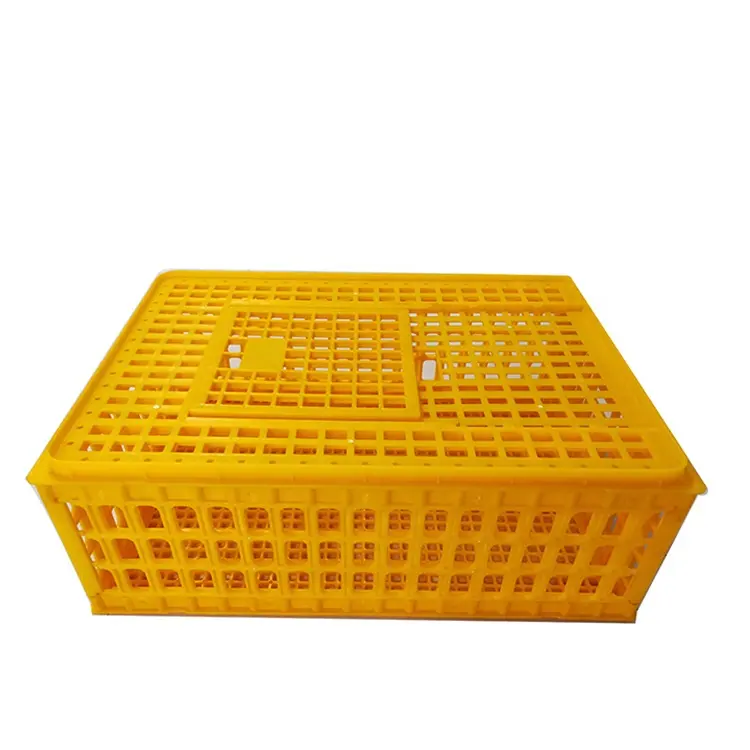 Caja de transporte de plástico para transporte de pollos, caja de venta de plástico para granja de pollos, aves, pato, proveedor de China