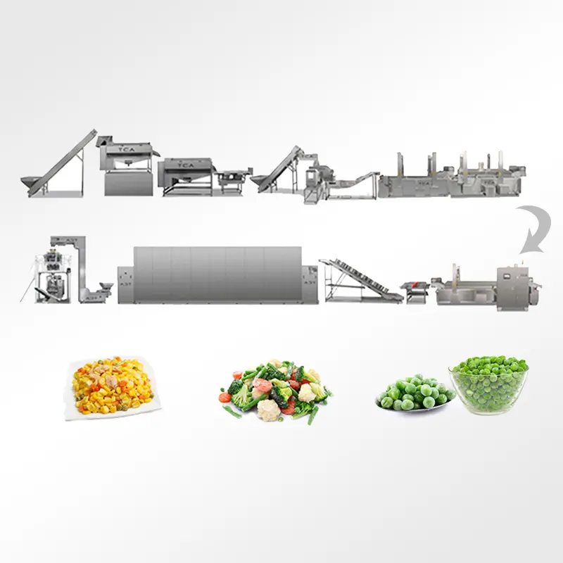 Línea de producción automática de lavadora de verduras de hoja verde TCA para pimientos y berenjenas
