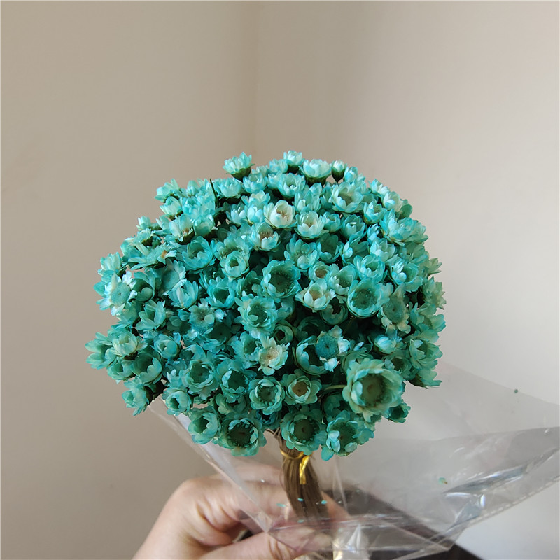 50 stems - nylon blue